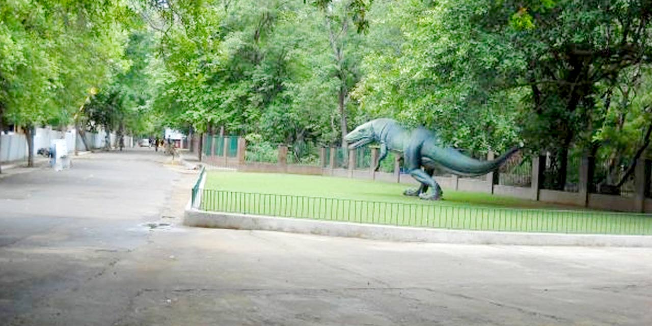 Guindy National Park, Chennai