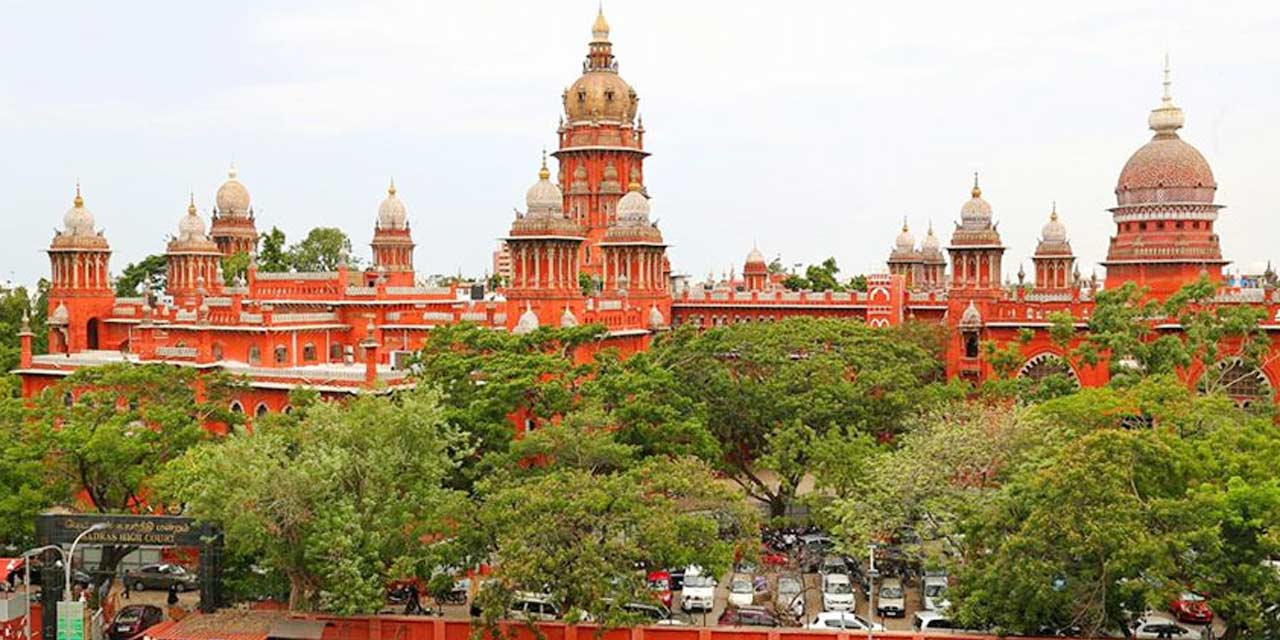 Madras High Court 2024 - Kore Shaine