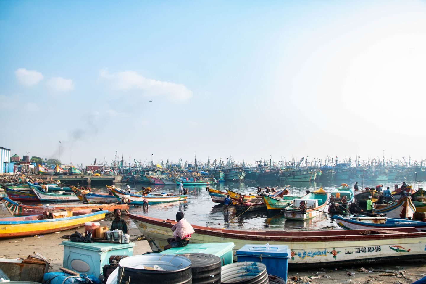 Royapuram Fishing Harbour Chennai